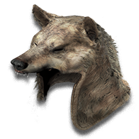 Alpha Helm