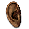 Ear