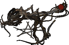 Catapult
