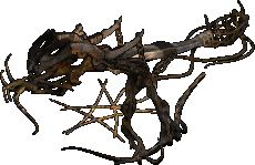 Catapult