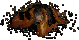 Rock Worm Egg