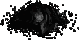Blood Maggot Egg