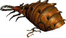 Giant Lamprey Queen