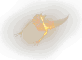 Pain Worm