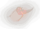 Anguish Worm
