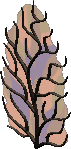 Stained Glass Window